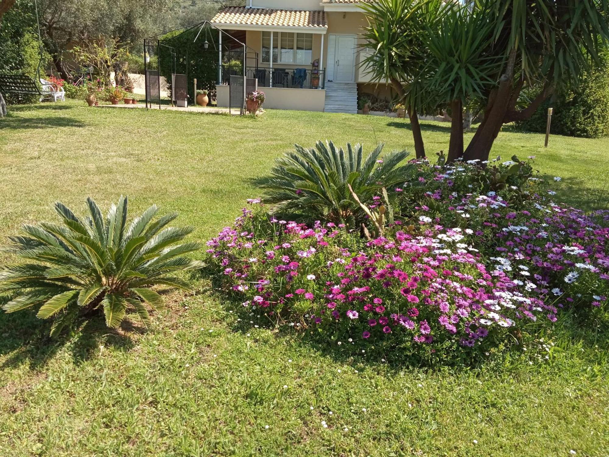 Sunny Garden Villa Plataria Habitación foto